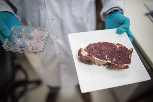 Lab-grown meat may exacerbate local weather change scientists say