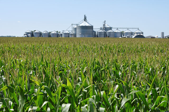 Oil and Corn conflict over secretive U.S. biofuel waivers in listening to