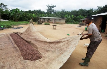 Ivory Coast dry spell, solar to enhance cocoa foremost crop -farmers