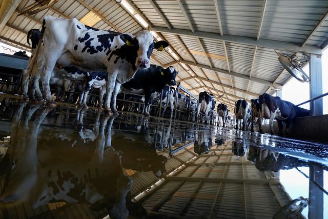 Manure, trash and wastewater: U.S. utilities get soiled in local weather struggle