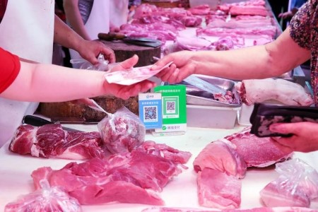 China pork costs surge in direction of $eight a kilo as demand picks up