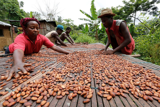 Ghana to finalise $600 mln cocoa mortgage bundle this week