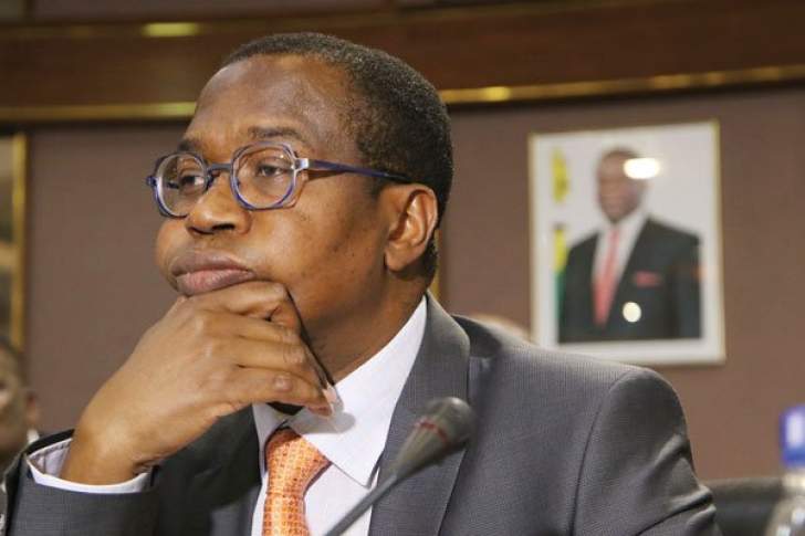 Mthuli Ncube beneath hearth over foreign exchange