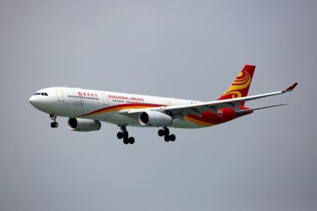 Hong Kong Airways should enhance monetary place or threat shedding licence -govt