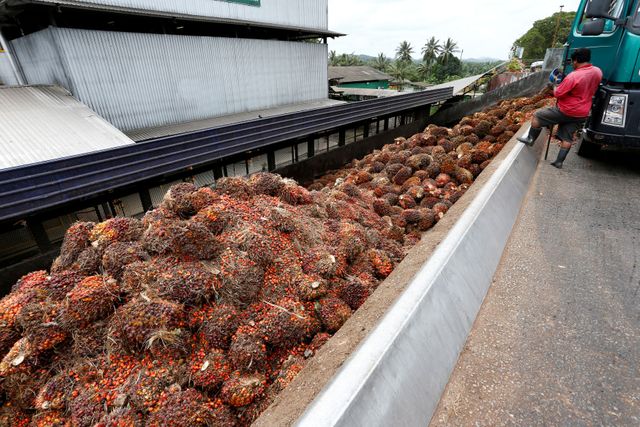EXCLUSIVE-India urges boycott of Malaysian palm oil after diplomatic row – sources