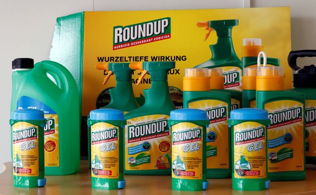 Bayer contemplating stopping gross sales of glyphosate to personal customers – newspaper