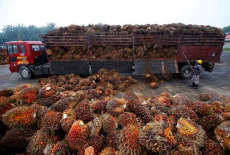 India’s January palm oil imports from Malaysia may hit 9-yr low – commerce