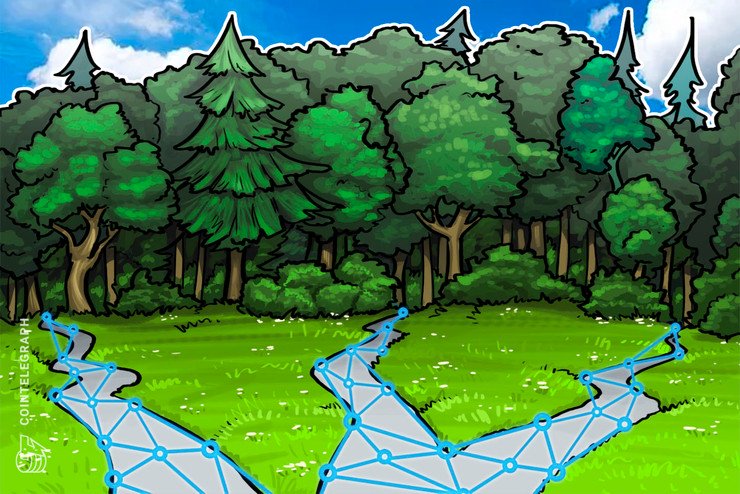 Blockchain Agency BitFury Companions With UN on Forest Challenge in Kazakhstan