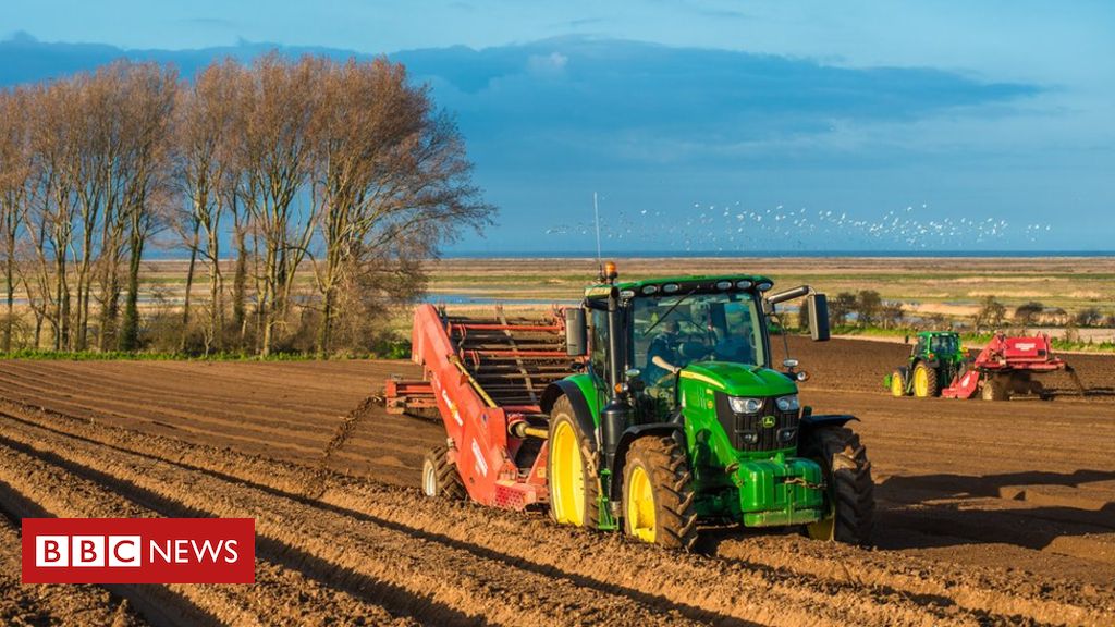 Agriculture Invoice: Soil at coronary heart of UK farm grant revolution