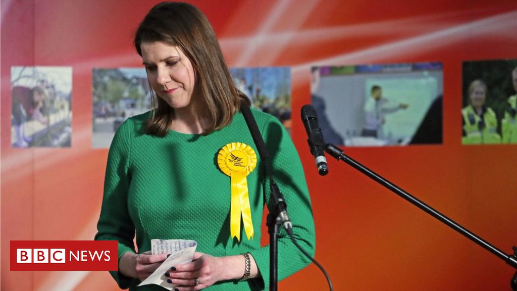 New Liberal Democrat chief in place by mid-July