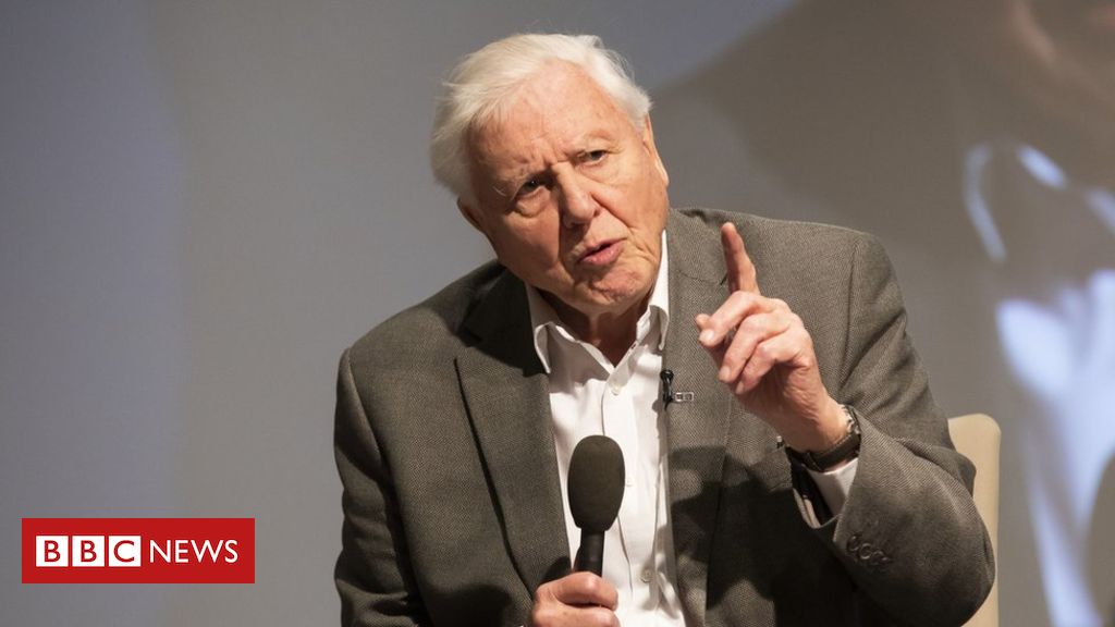 Sir David Attenborough says fixed-term parliaments result in lack of local weather focus