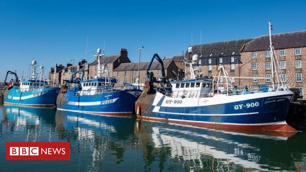Brexit: Fisheries Invoice to enshrine sustainability in legislation