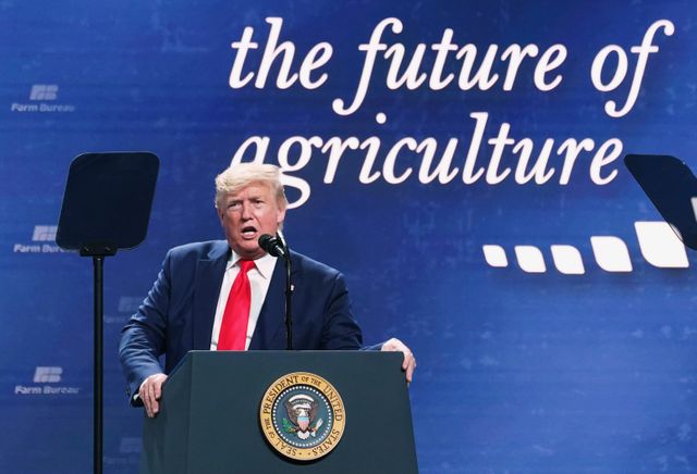 Trump: U.S. could give farmers extra assist till commerce offers ‘kick in’
