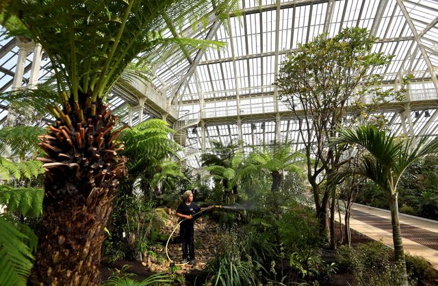 UK’s Kew Gardens to assist defend Australia’s bio-diversity after wildfires
