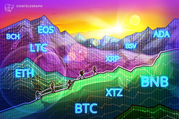 Value Evaluation Feb 12: BTC, ETH, XRP, BCH, BSV, LTC, EOS, BNB, XTZ, ADA