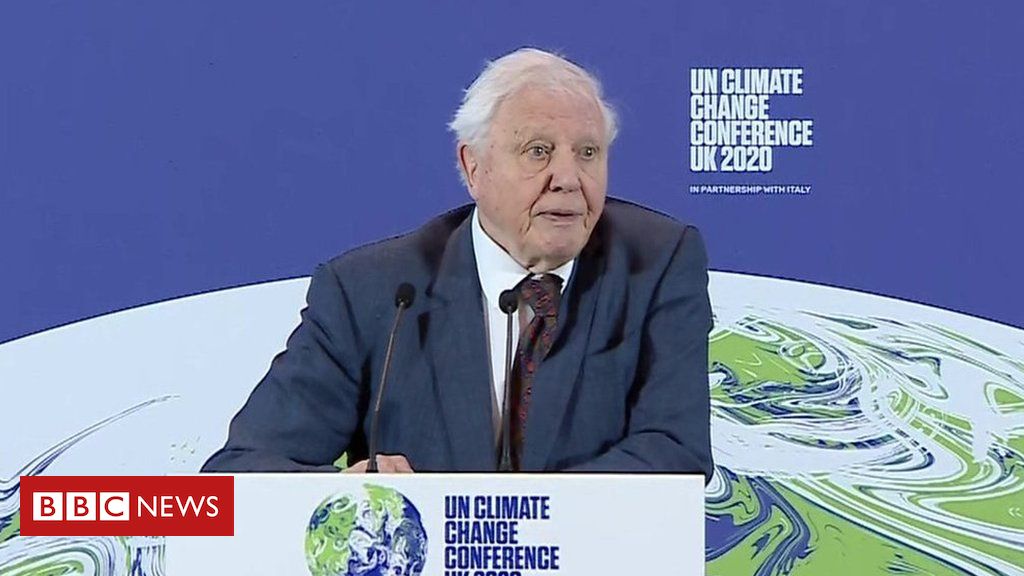 Sir David Attenborough: 'Now’s the second'