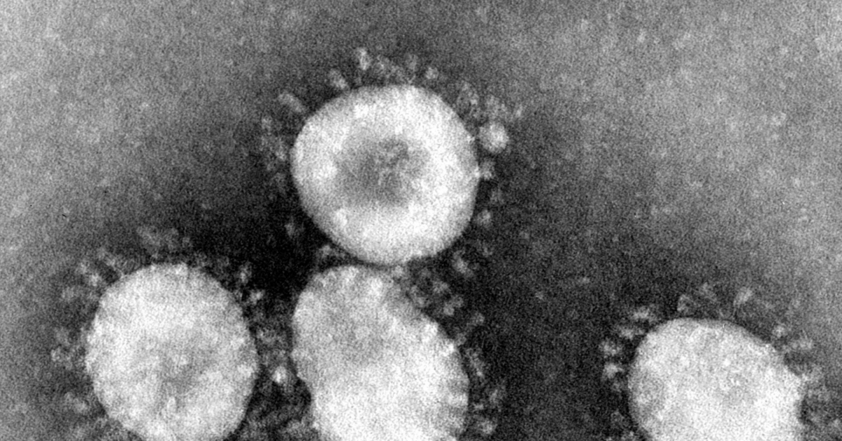 Coronavirus Hits US Shares, Bitcoin Climbs, Haven Standing Unclear