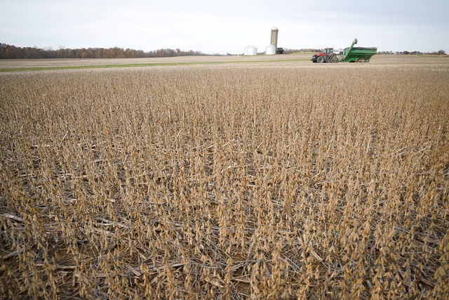 COLUMN-U.S. soybean shipments to China dry as much as traditionally low ranges -Braun