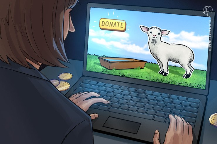 Crypto-powered Sheep Feeding Channel Raises Cash for a Good Trigger