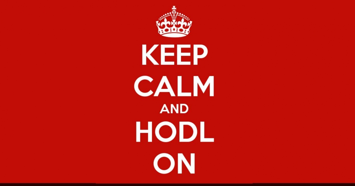 6 Good Causes for Bitcoin HODLers to Keep Calm