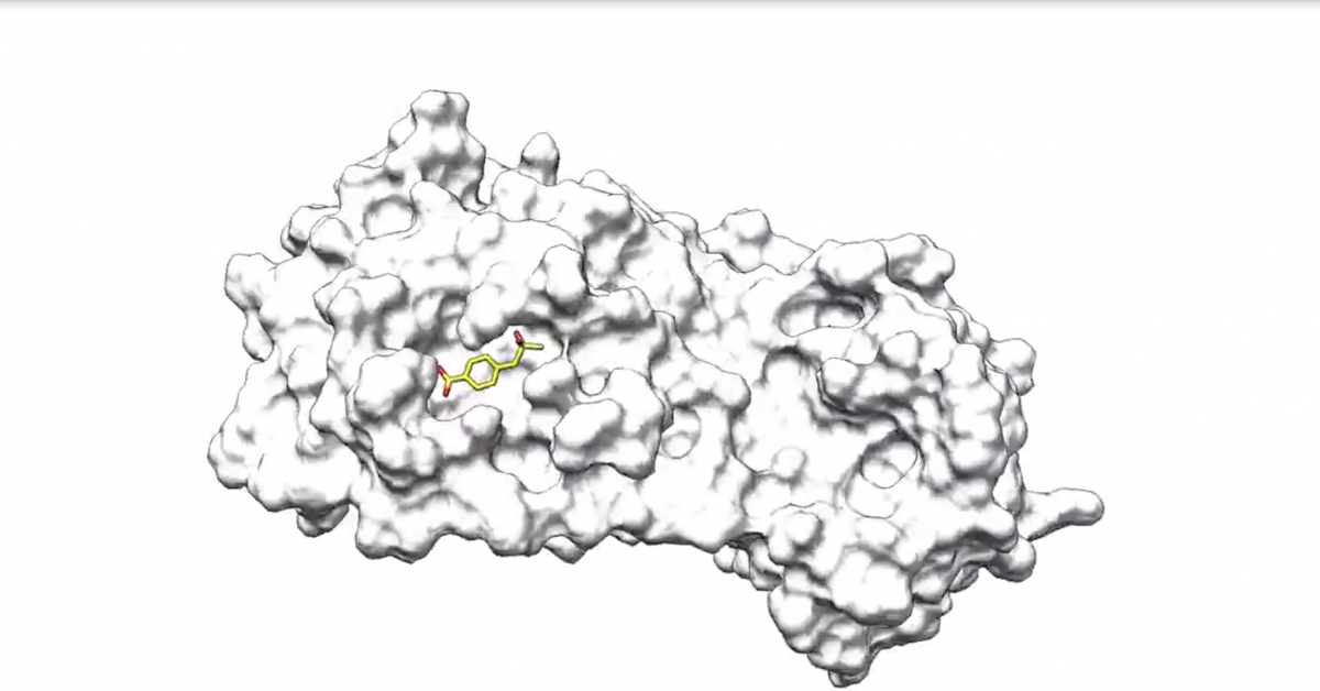 How Crypto Is Preventing Coronavirus: Hacks, Information, Views