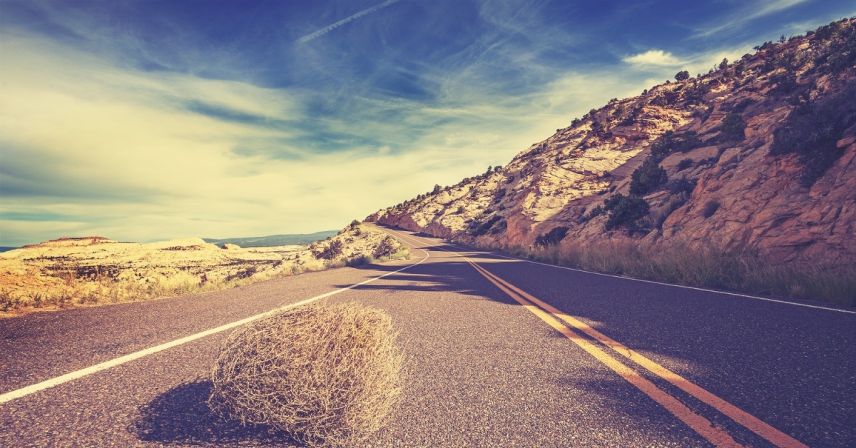 CME Bitcoin Choices Quantity Hits Document Low, Whereas Bakkt Goes Weeks With No Trades