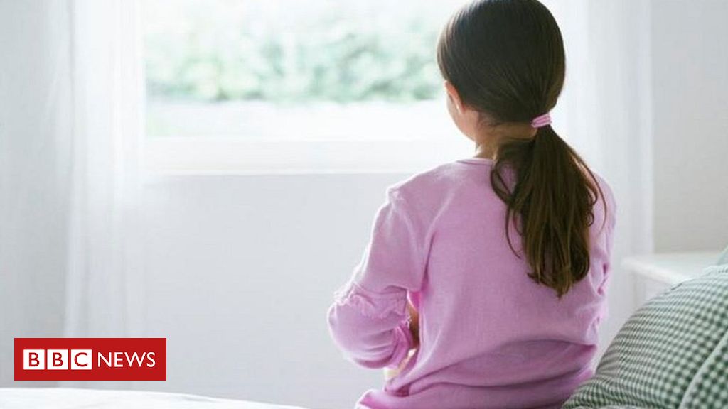 Home abuse: Ministers urged to strengthen revived legislation to guard youngsters