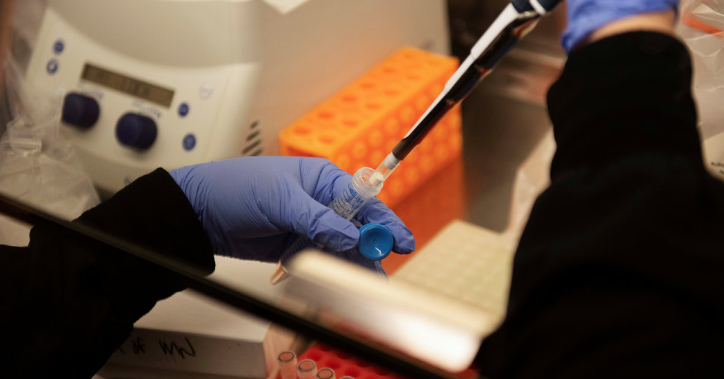 Oracle Offering White Home With Software program to Examine Unproven Coronavirus Medicine