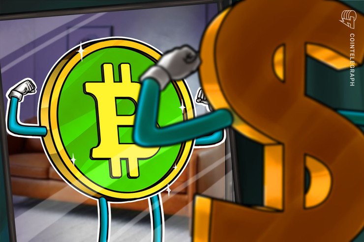 Bitcoin Money Halving Met with 11% Value Surge; BSV Follows with 19%