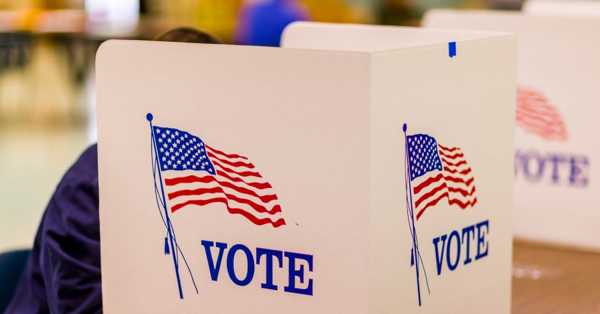 Web Voting Is ‘Not Safe’ and Blockchain Will not Assist, Warns Scientific Physique