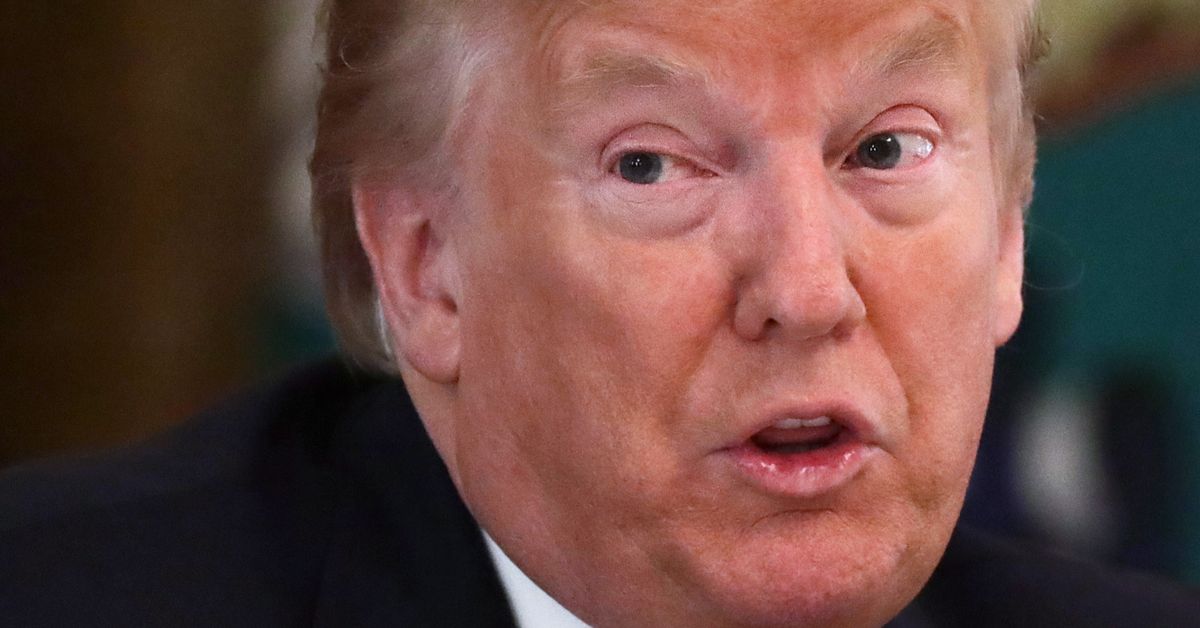 Trump threatens retaliation towards Michigan and different states that make it simpler to vote