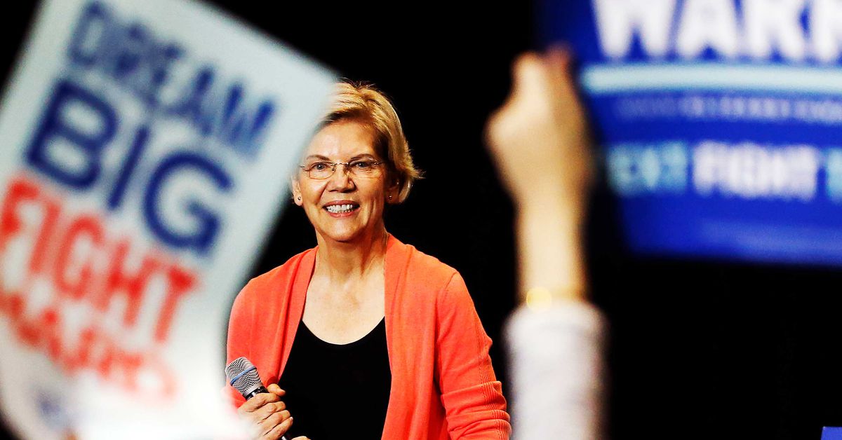 Democrats need Joe Biden to choose Elizabeth Warren as vice chairman, ballot exhibits
