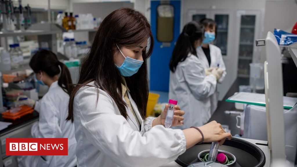 Coronavirus: World should ‘pull collectively’ to seek out and fund vaccine
