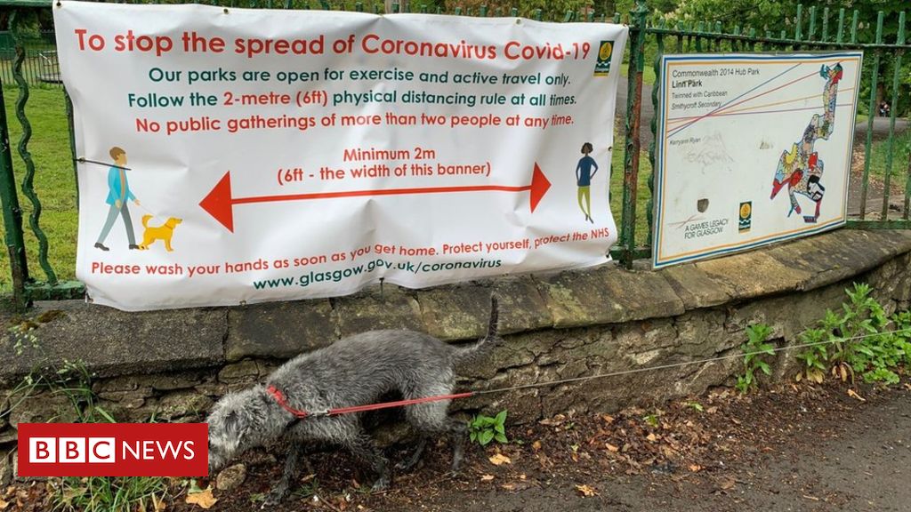 Coronavirus: Scotland goals to ease lockdown on 28 Might