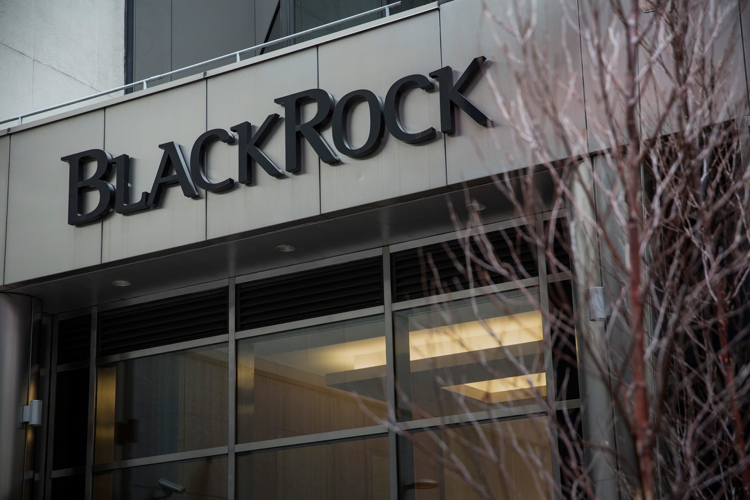 BlackRock sees dangers for U.S. shares within the second half from virus and politics