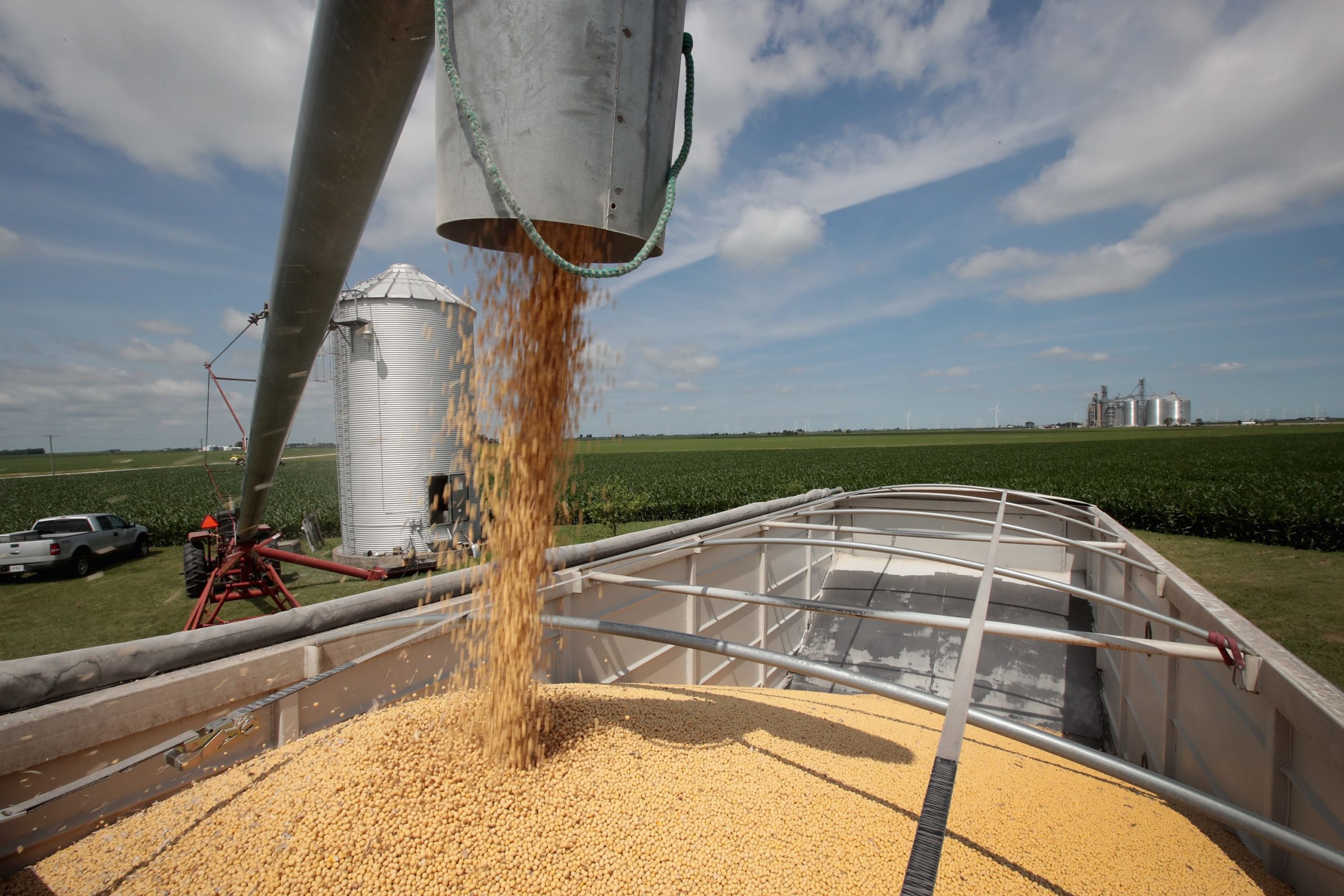 China could also be utilizing weak soybean demand as a chance to halt U.S. imports