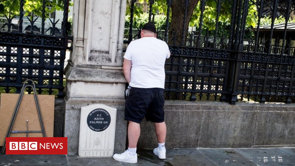Man jailed for urinating at PC Keith Palmer memorial throughout protest