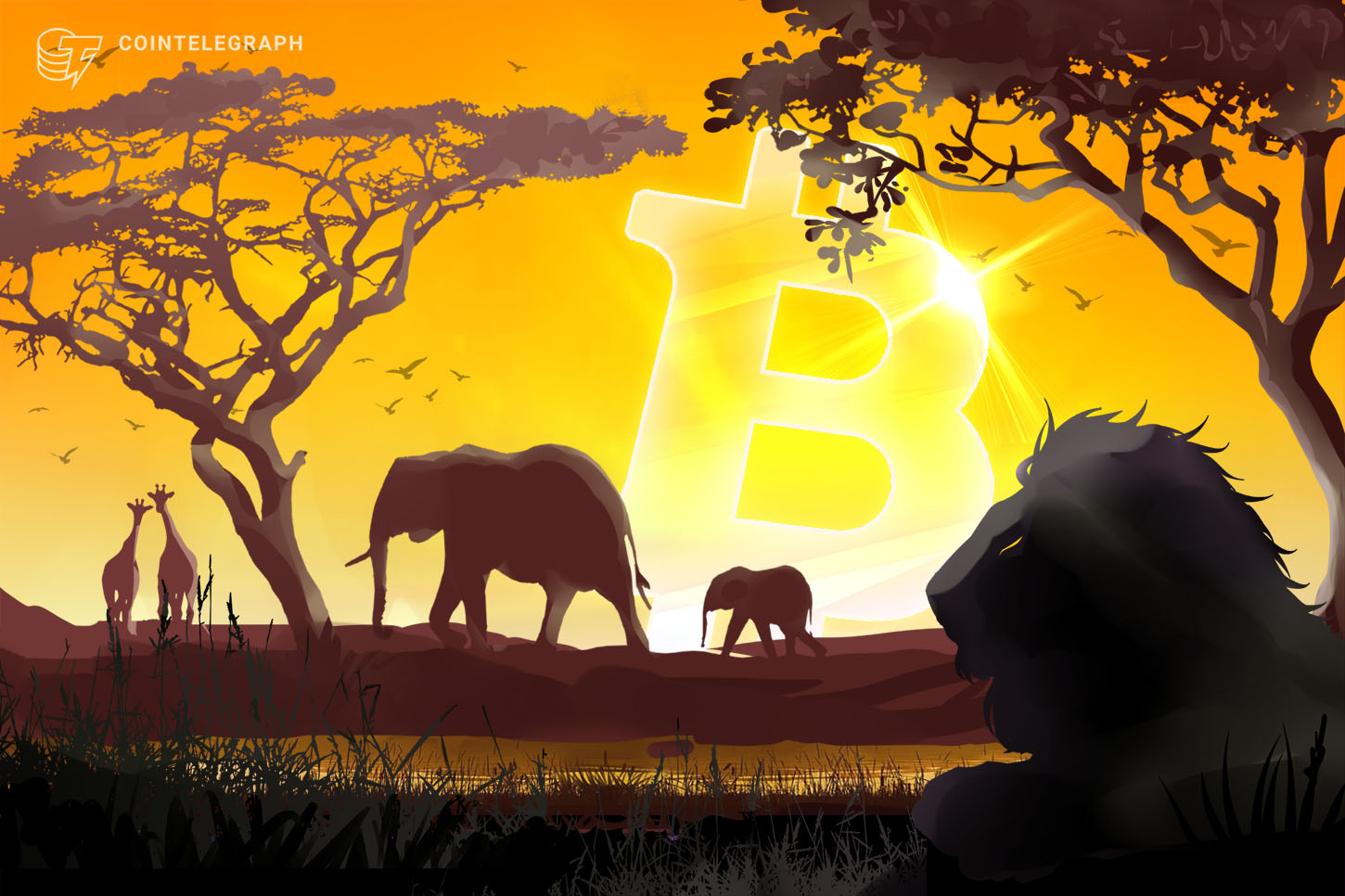 Search Curiosity for Bitcoin Highest in Africa and South America