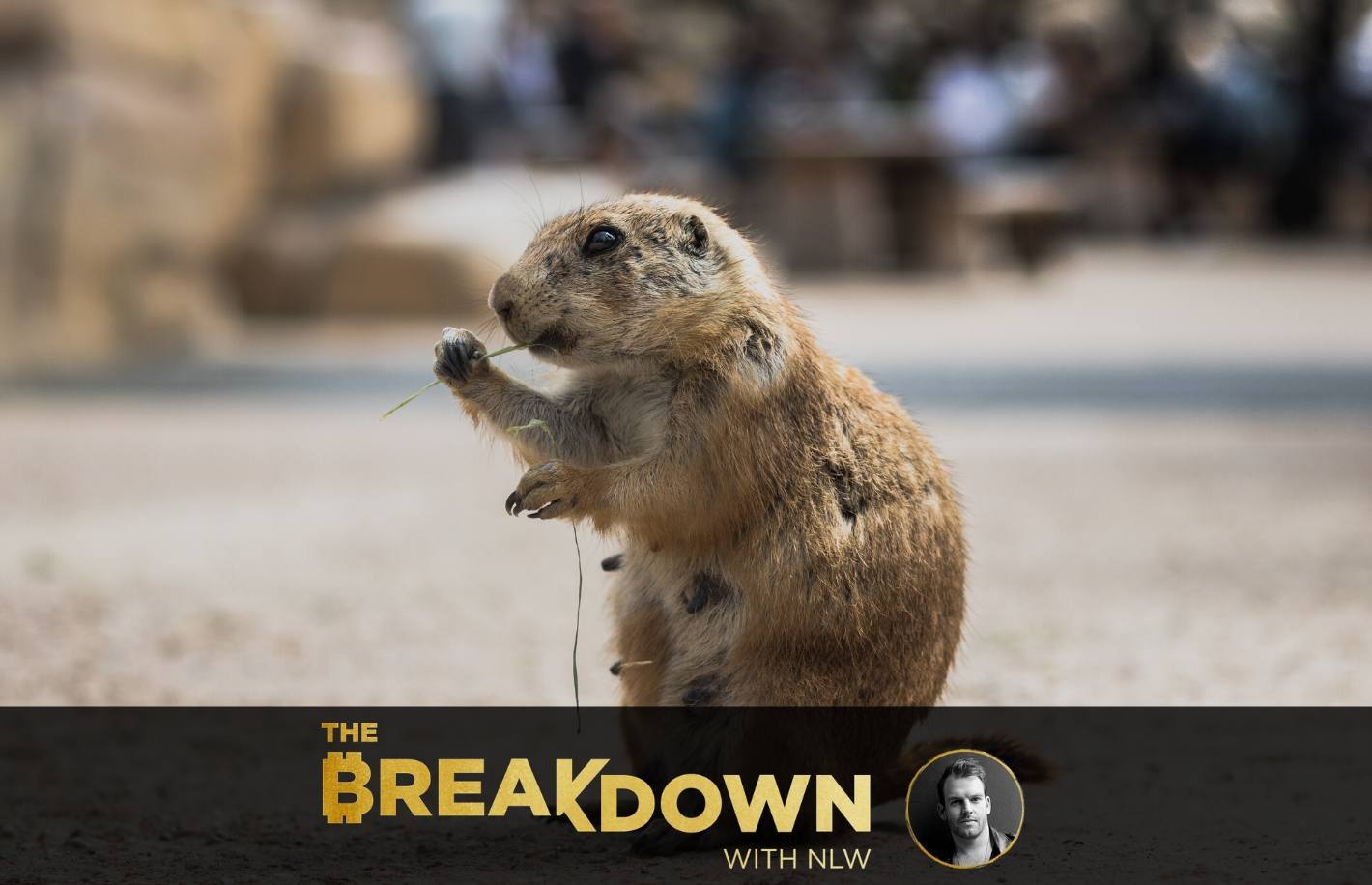 Welcome to the Groundhog Day Economic system (PS, It Sucks)
