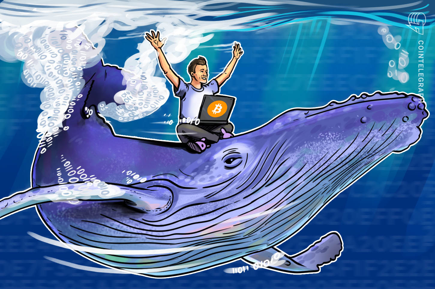 Bitcoin Hodlers Purchased BTC 90% of 2020 as Halving Spawns New Whales