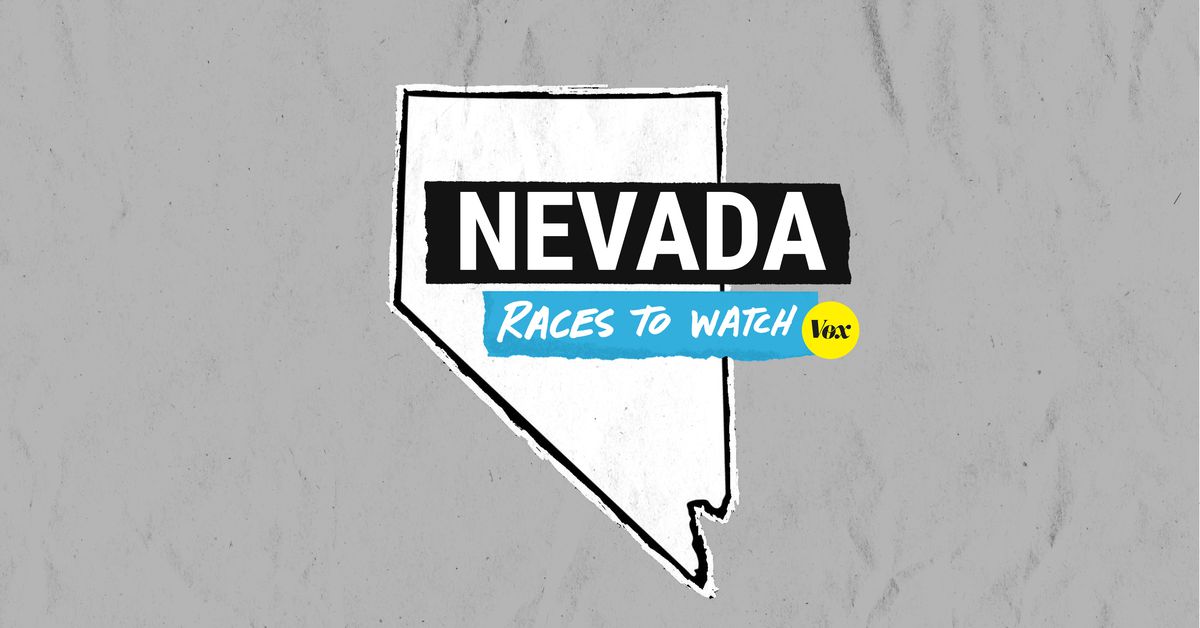 Nevada primaries: Democrats are taking part in protection in two aggressive Home races