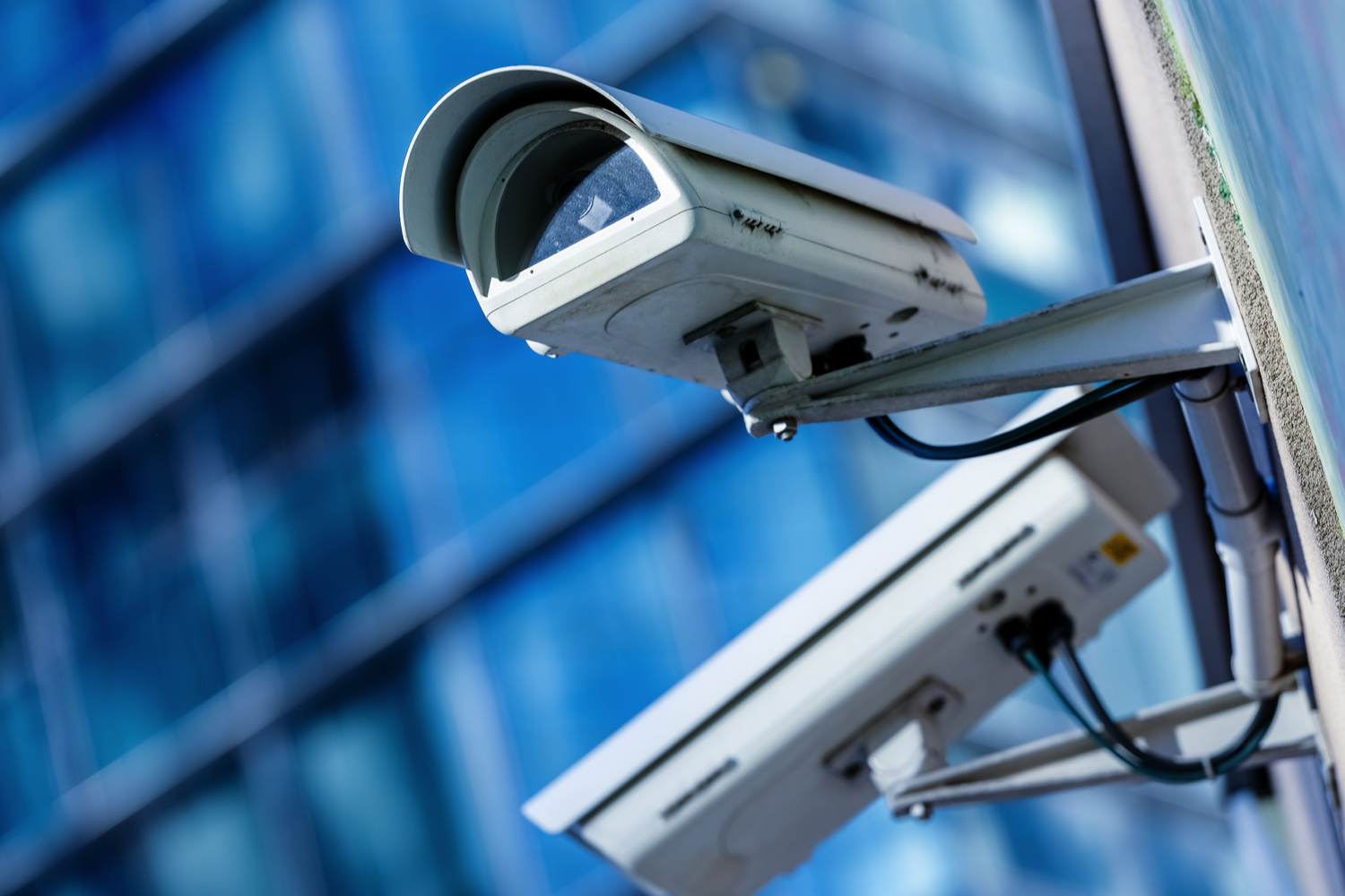 Moscow Might Promote Footage From Public Safety Cameras: Report