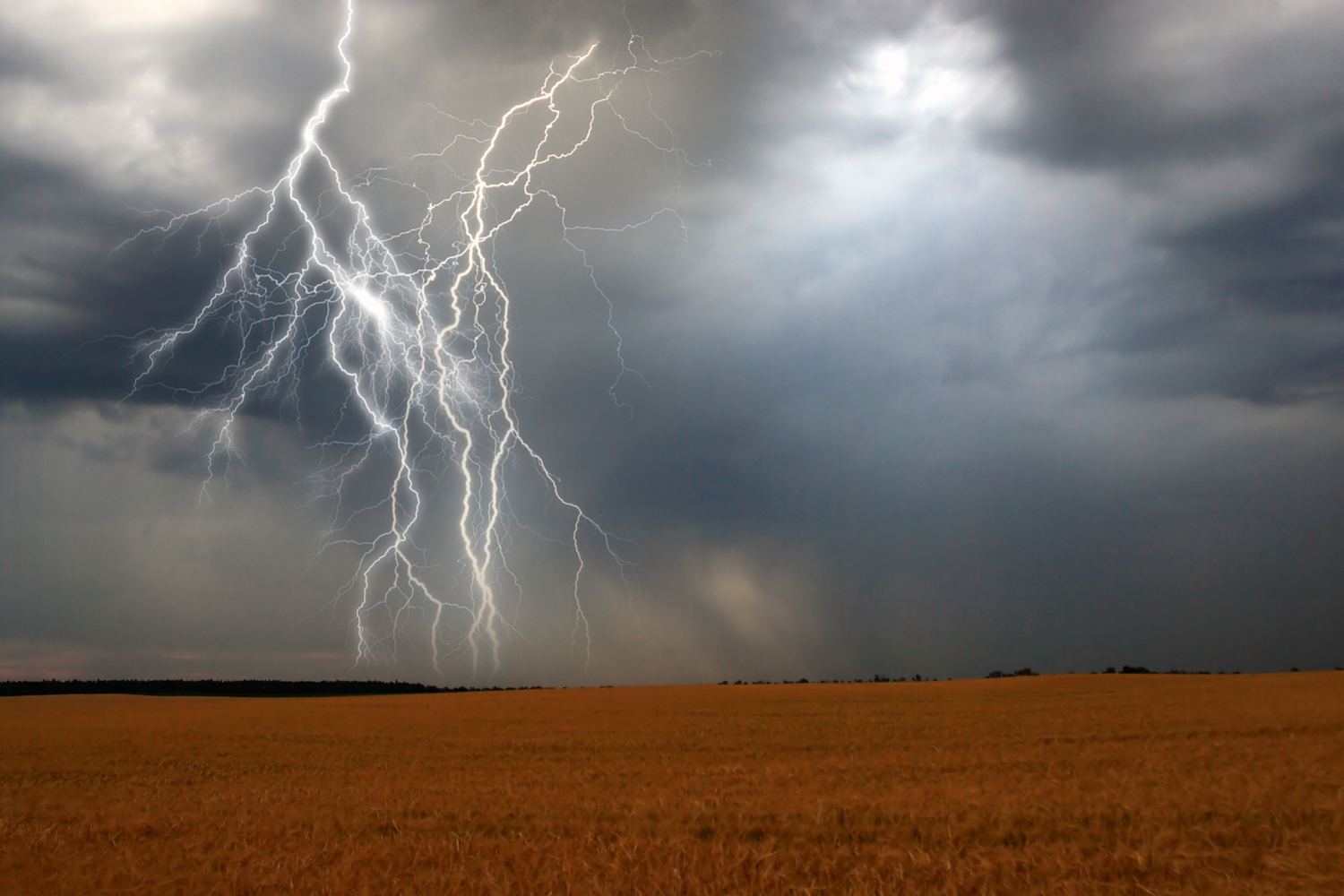 First Mover: Bitwise Calls $50Okay Bitcoin Worth When Market Calm Lastly Breaks