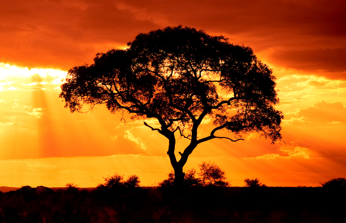 WisdomTree Proposes ETF With 5% Bitcoin Publicity Regardless of SEC’s Lengthy-Standing Blockade