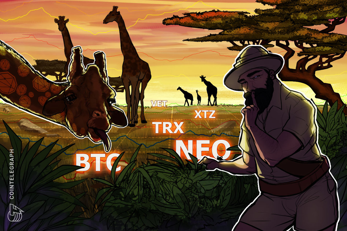 High 5 Cryptocurrencies to Watch This Week: BTC, NEO, TRX, XTZ, VET