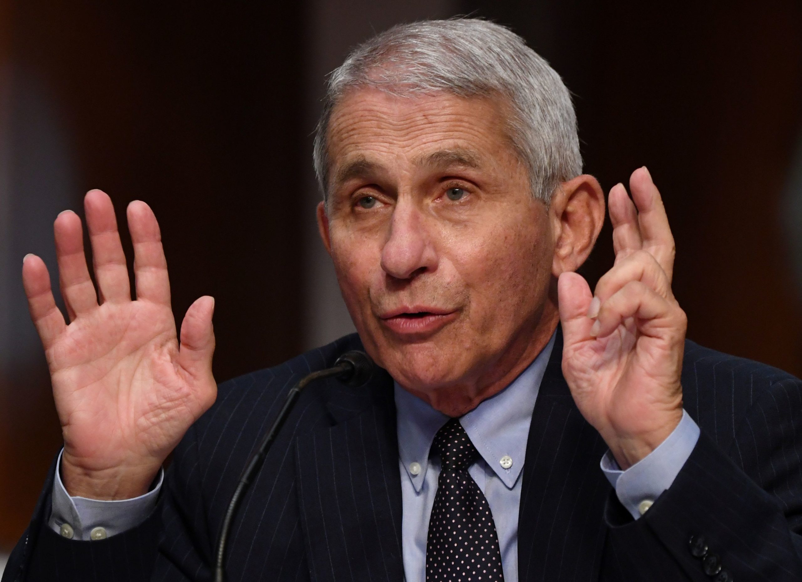 Do not ‘stability lives towards the economic system,’ Dr. Anthony Fauci warns