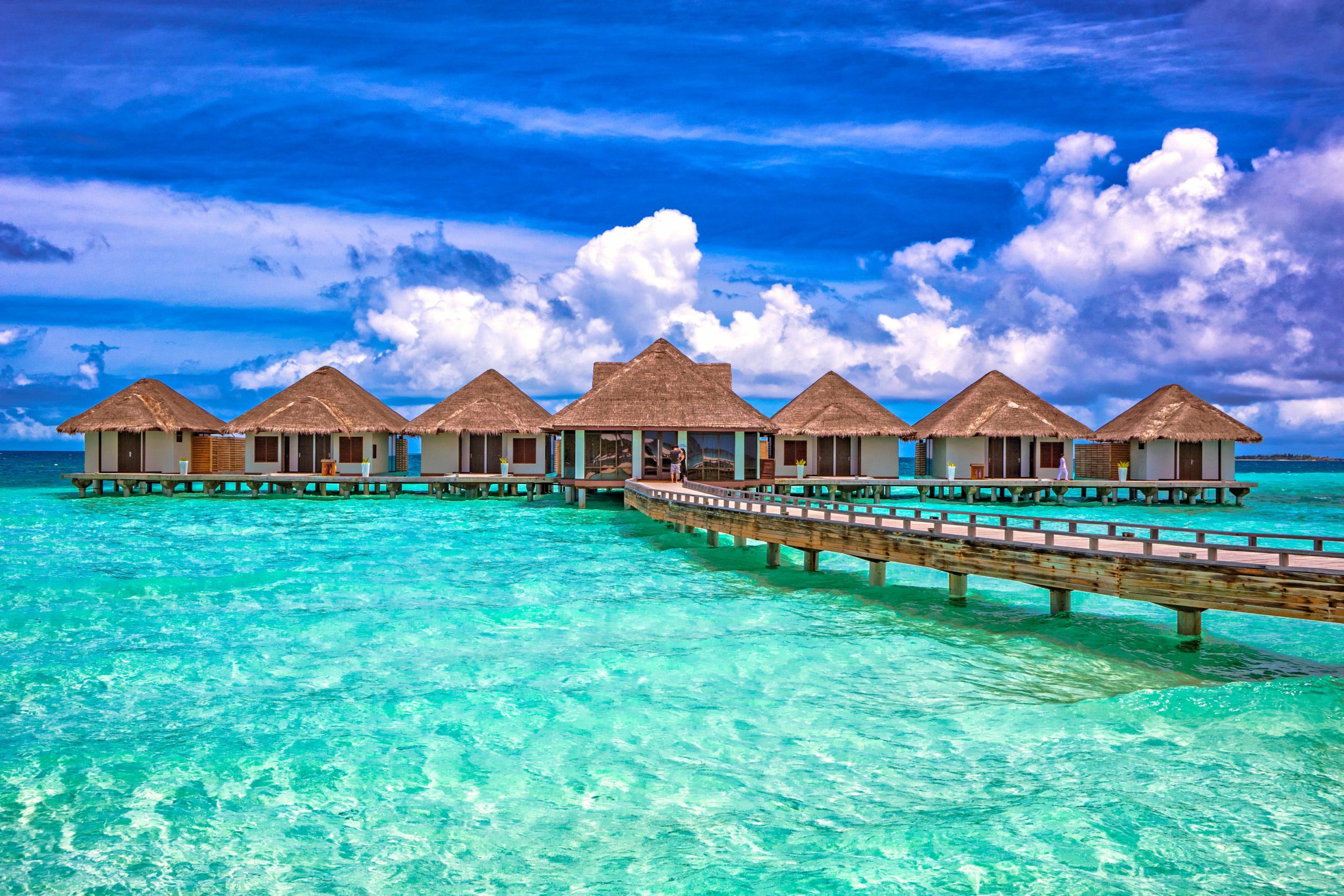 Is it protected to go to the Maldives? This is what motels are doing