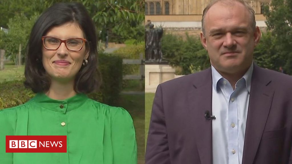Who would be the Lib Dems’ subsequent chief?