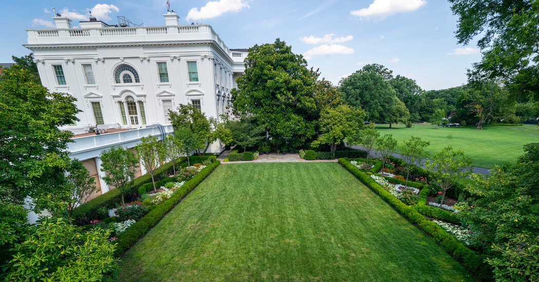 Melania Trump to Announce Plan to Revamp White Home Rose Backyard