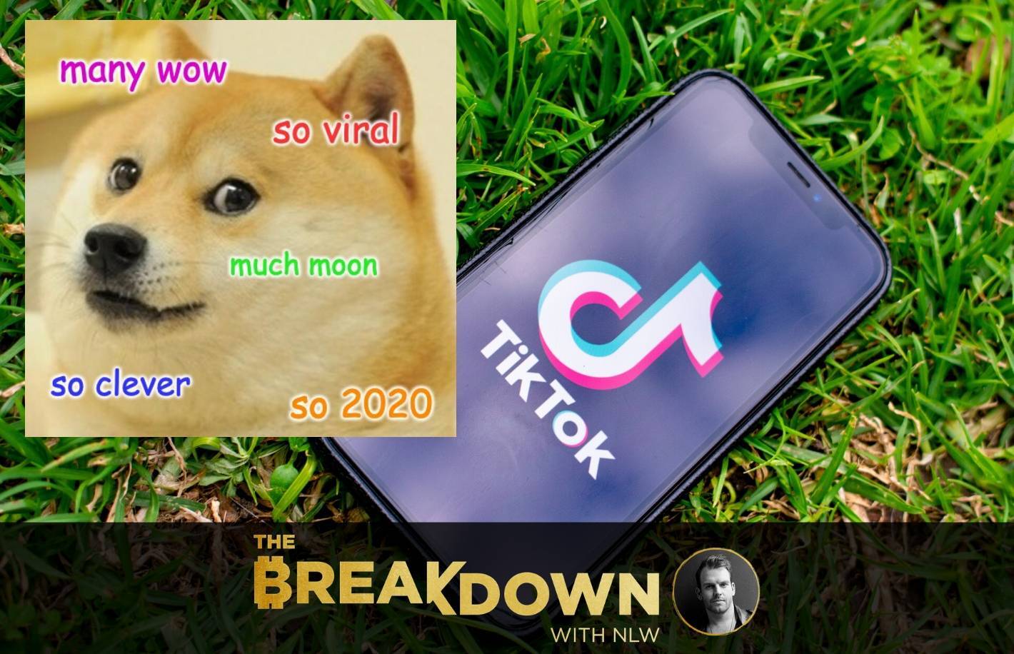 The Definitive Information To Doge’s TikTok Pump